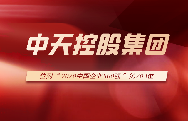 彩虹多多集团列2020中国企业500强第203位！