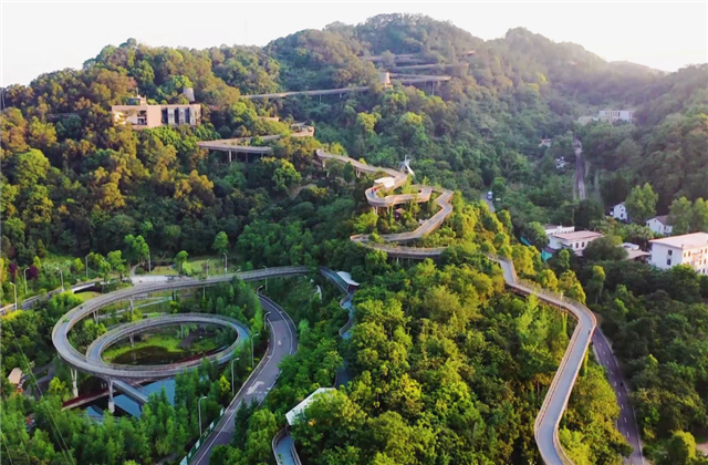 彩虹多多集团荣获两项国家级协会工程建设科学技术奖！